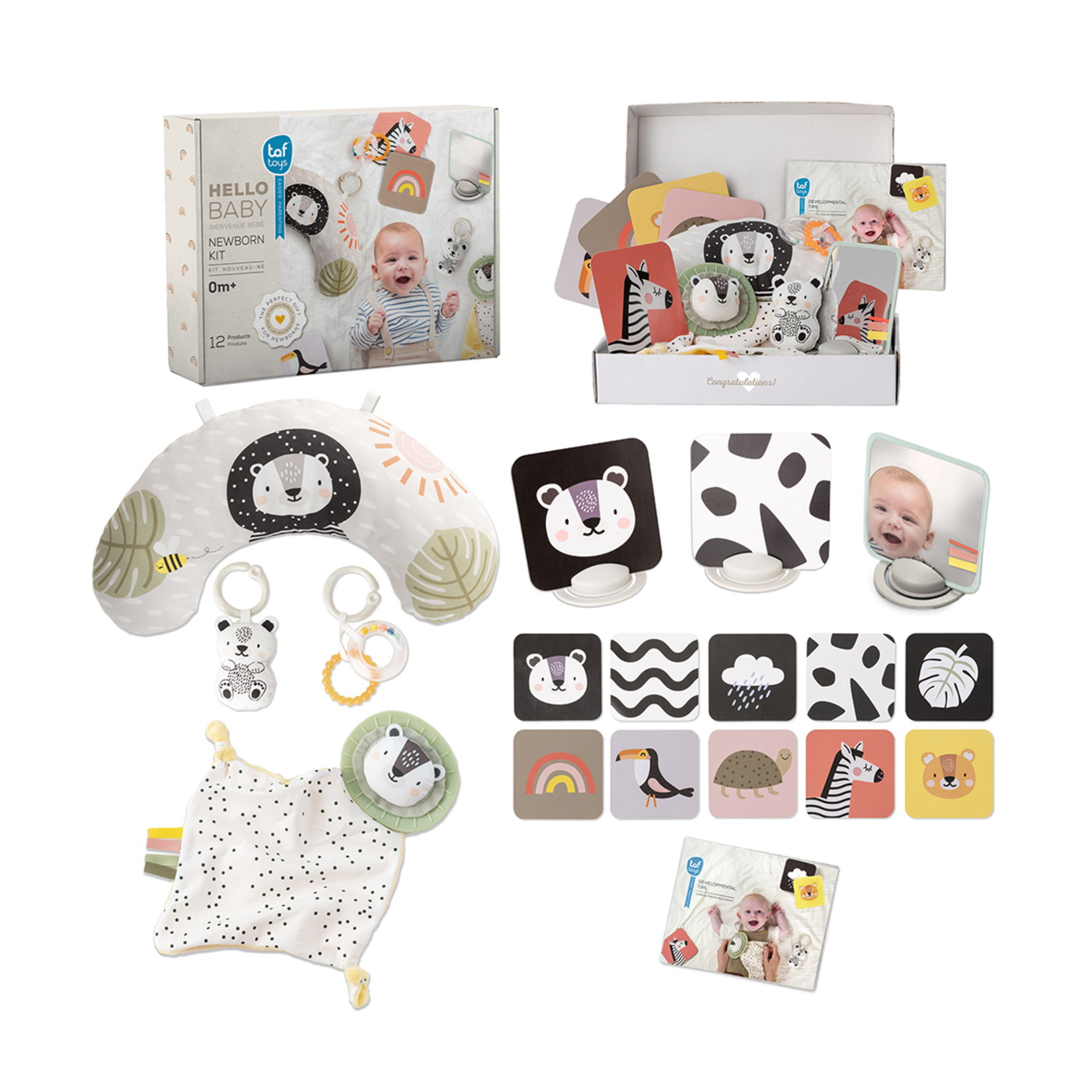 Taf Toys Taf Toys - Ensemble de départ 12 pcs