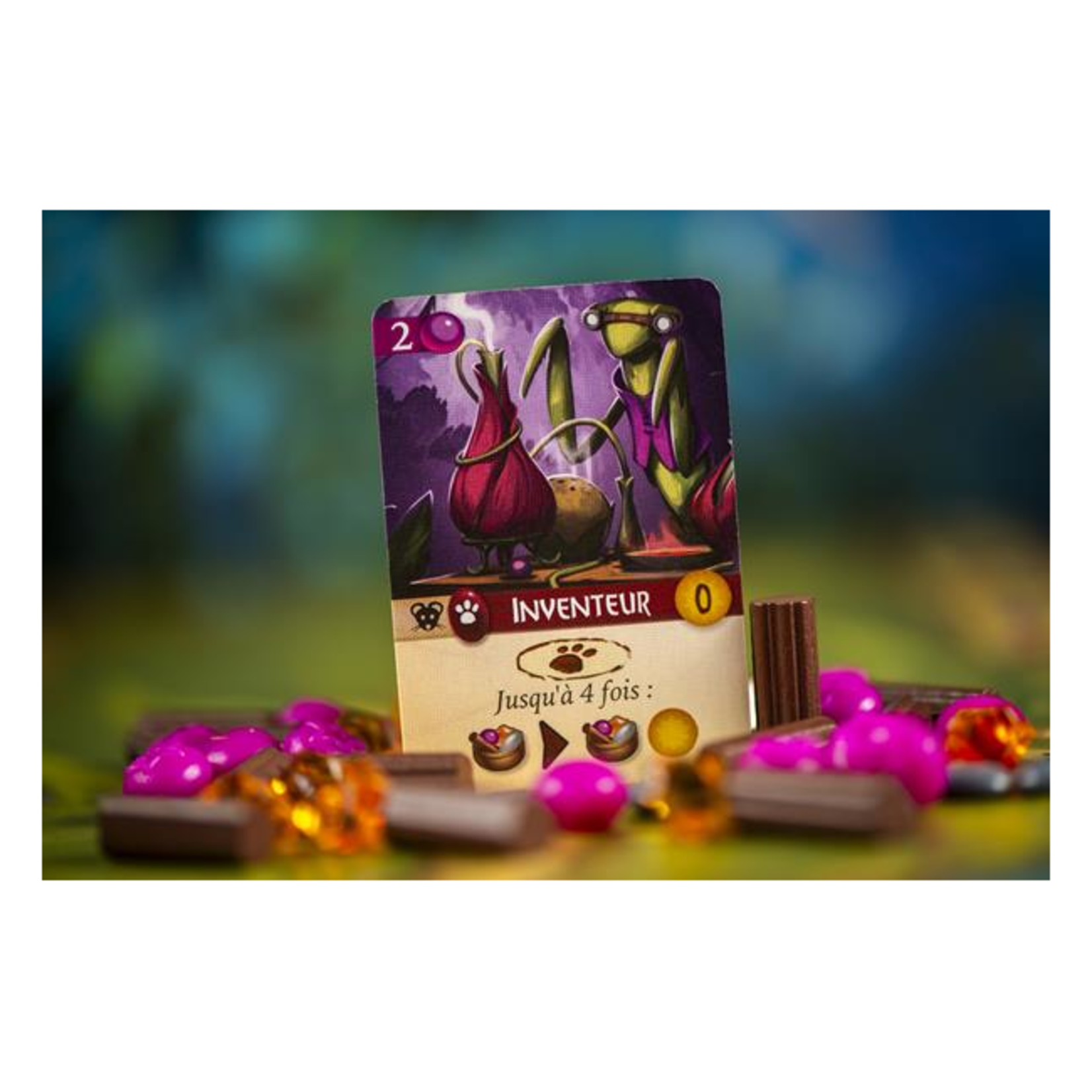 Matagot Everdell Duo FR