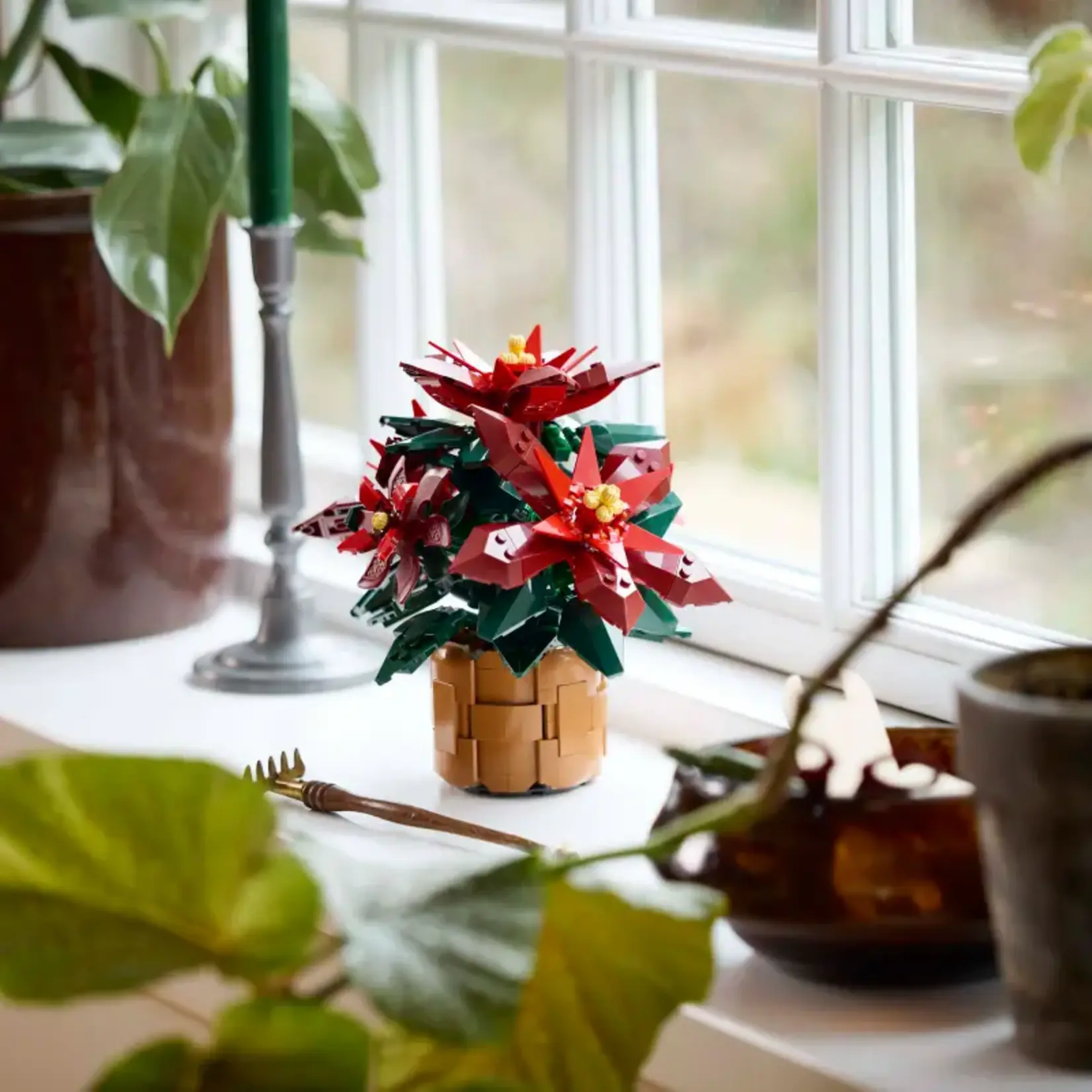 Lego Lego - 10370 - Icons - Poinsettia (Ramassage seulement)