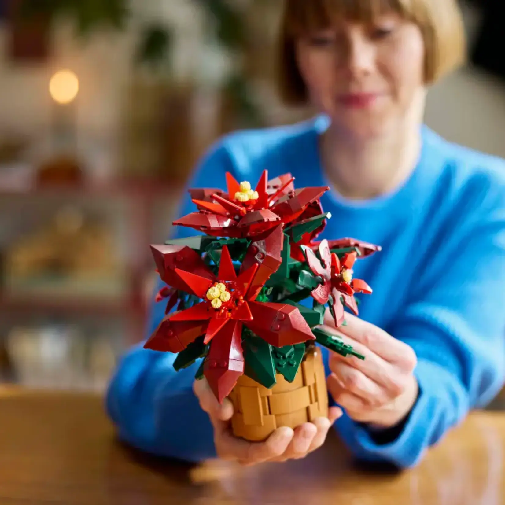 Lego Lego - 10370 - Icons - Poinsettia (Ramassage seulement)