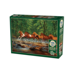 Cobble Hill PZ1000 - Spring Creek Run