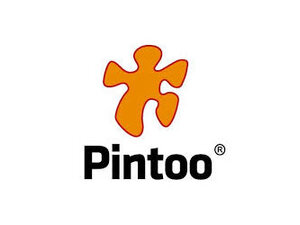 Pintoo