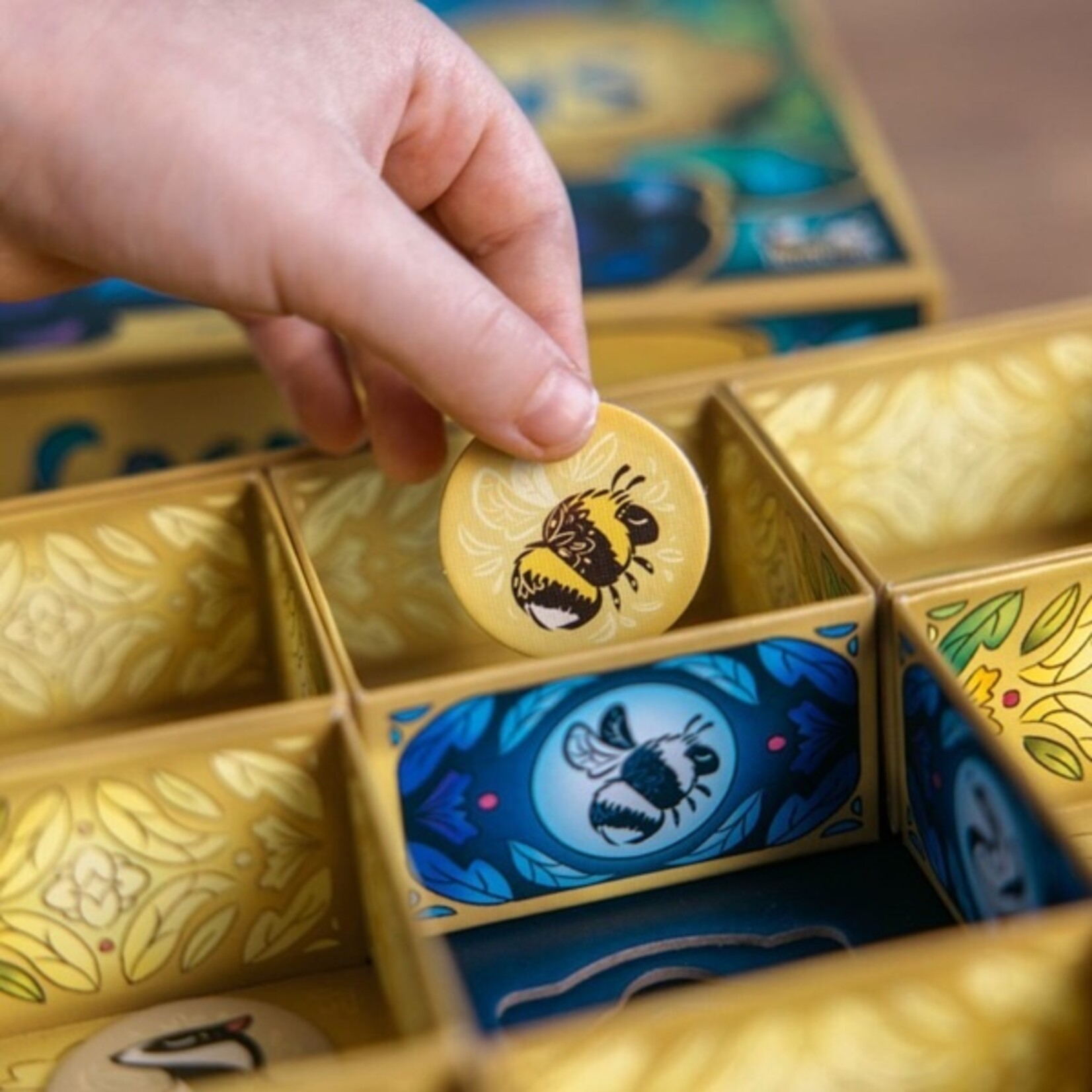 Cocoons - La boite mystérieuse (Multilingue)