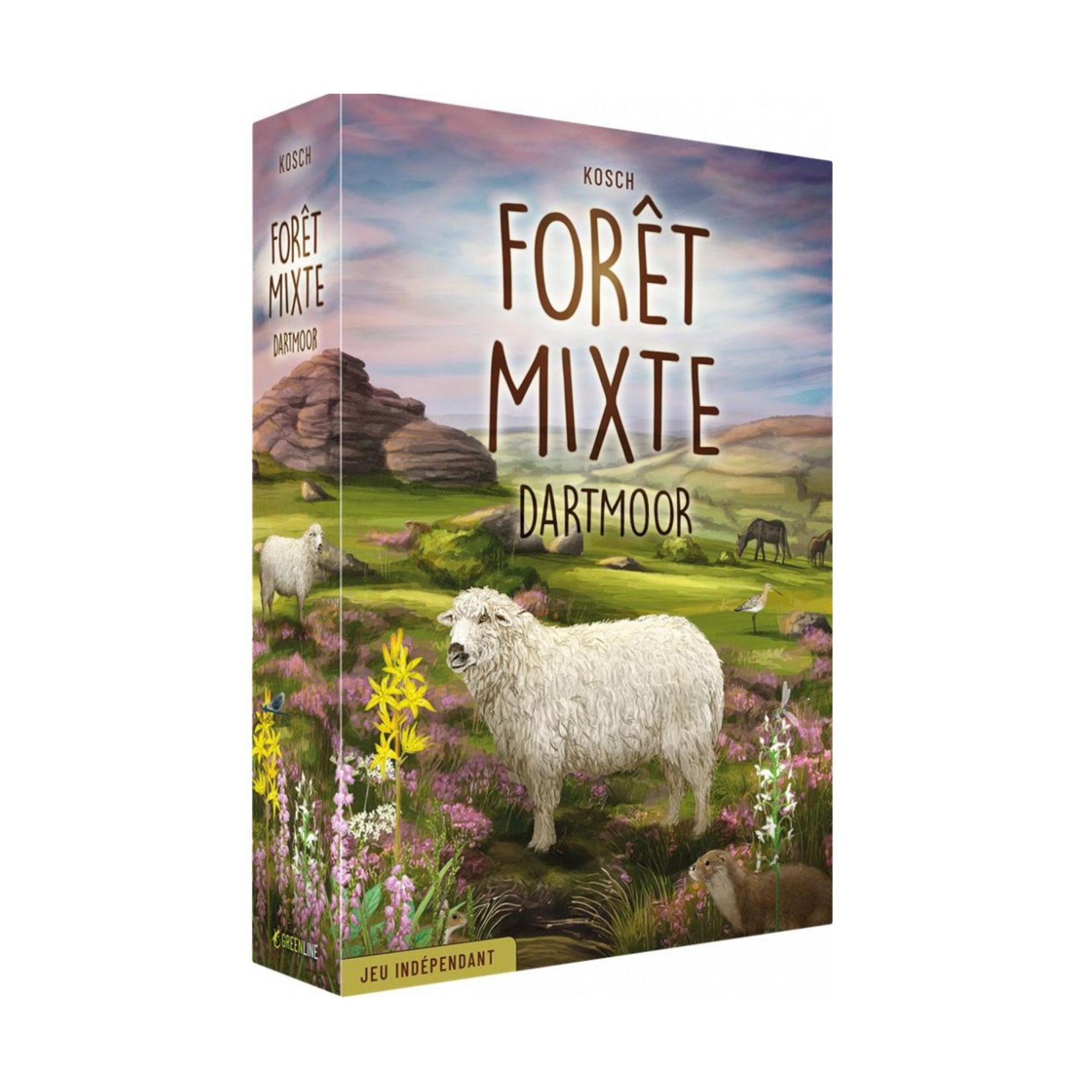 Foret Mixte - Dartmoor FR
