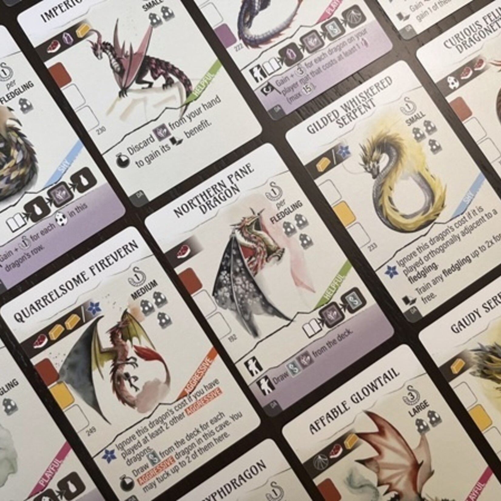 Stonemaier Games Wyrmspan - Ext - L'académie des Dragons FR