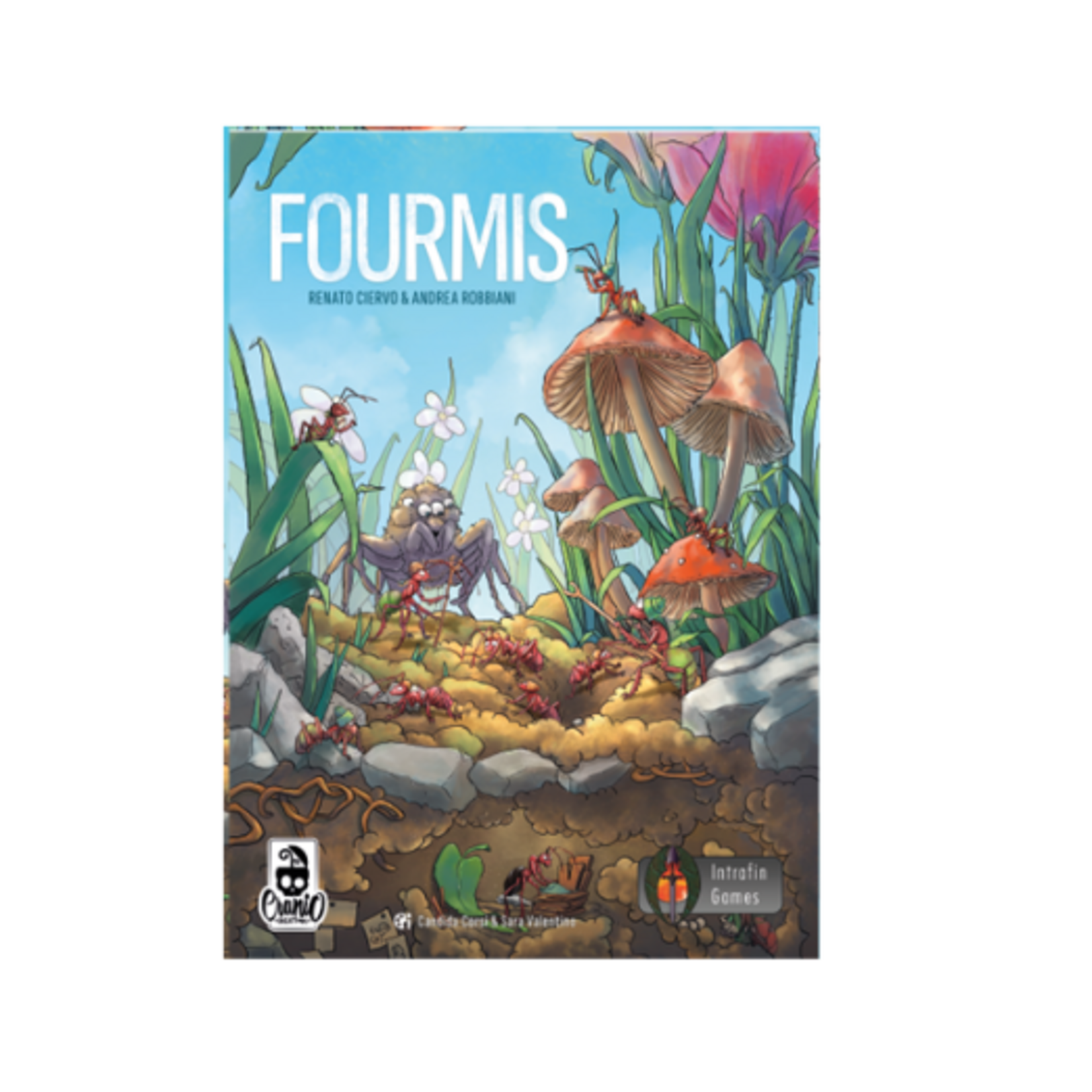 Cranio Creations Fourmis FR