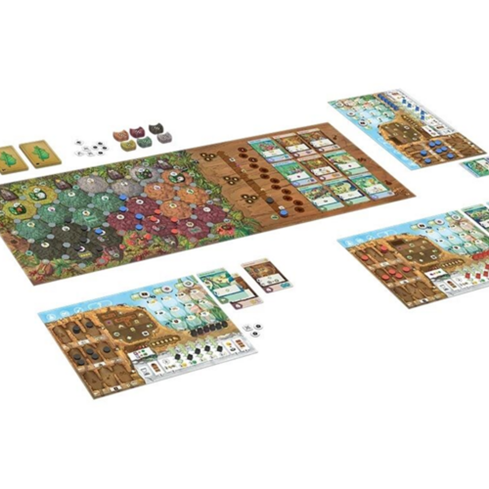 Cranio Creations Fourmis FR