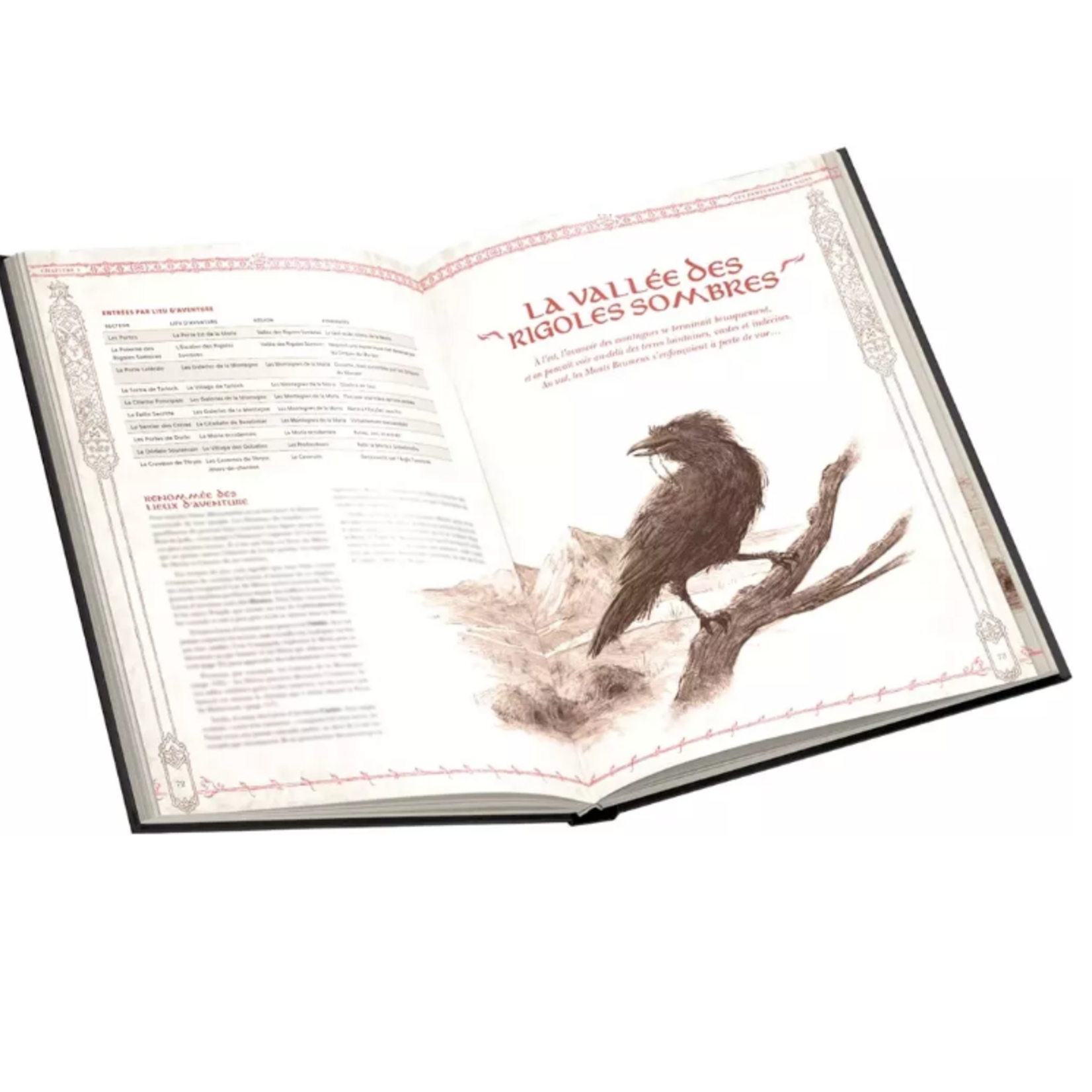 L'Anneau Unique Jeu de Rôle - La Moria