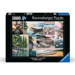 Ravensburger PZ1000 - West Coast Tranquility