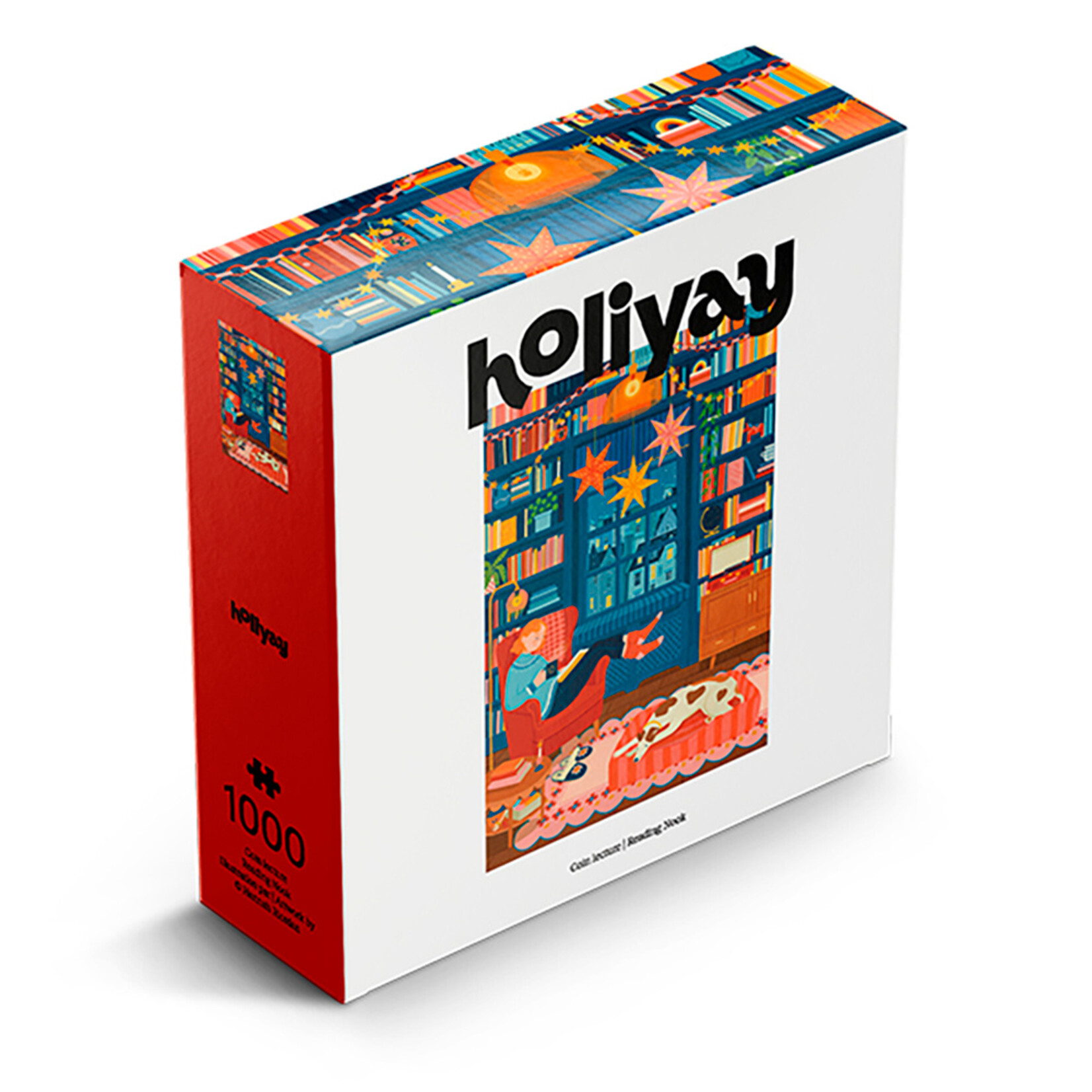 Holiyay PZ1000 - Holiyay - Coin Lecture