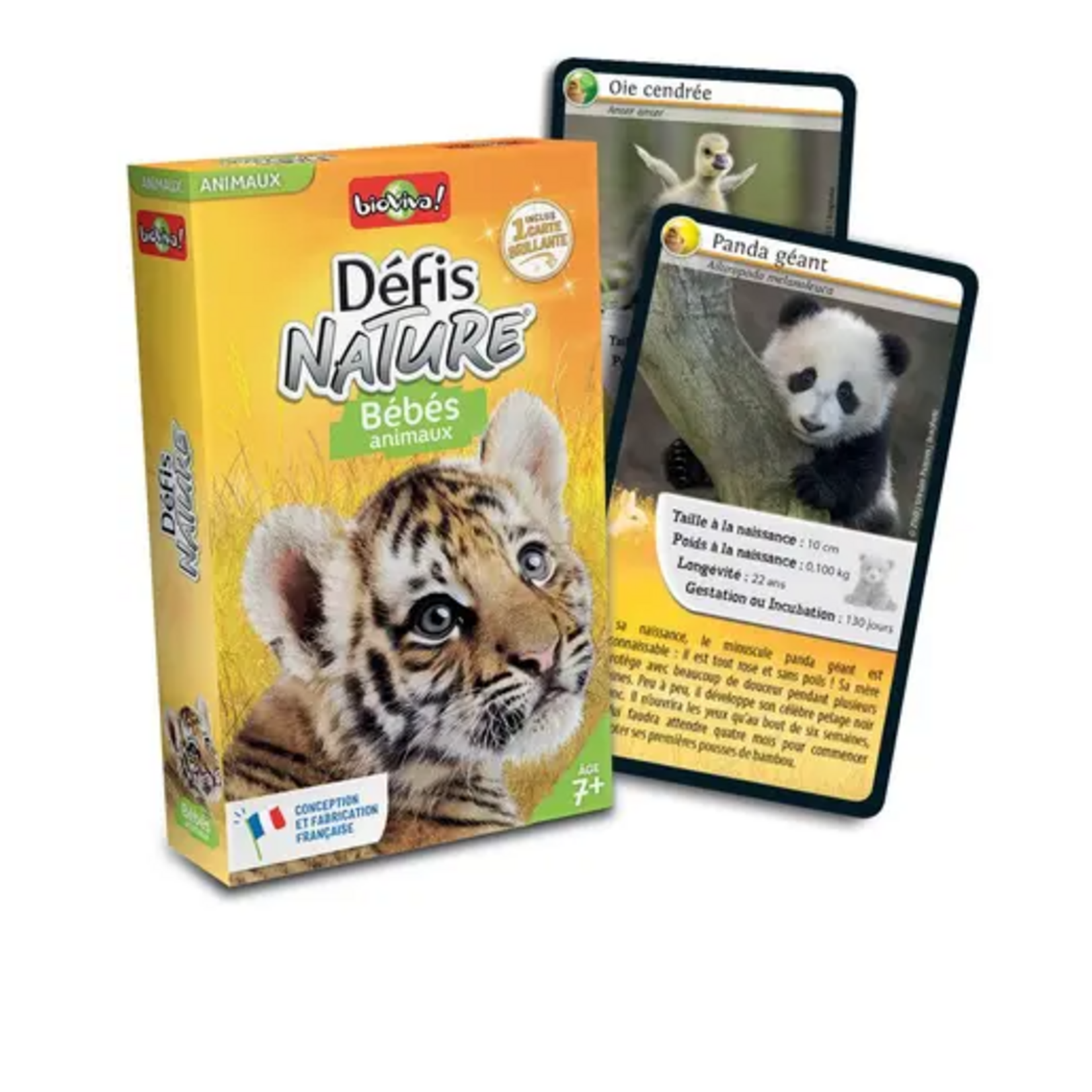 Bioviva Défi Nature - Bébés animaux FR