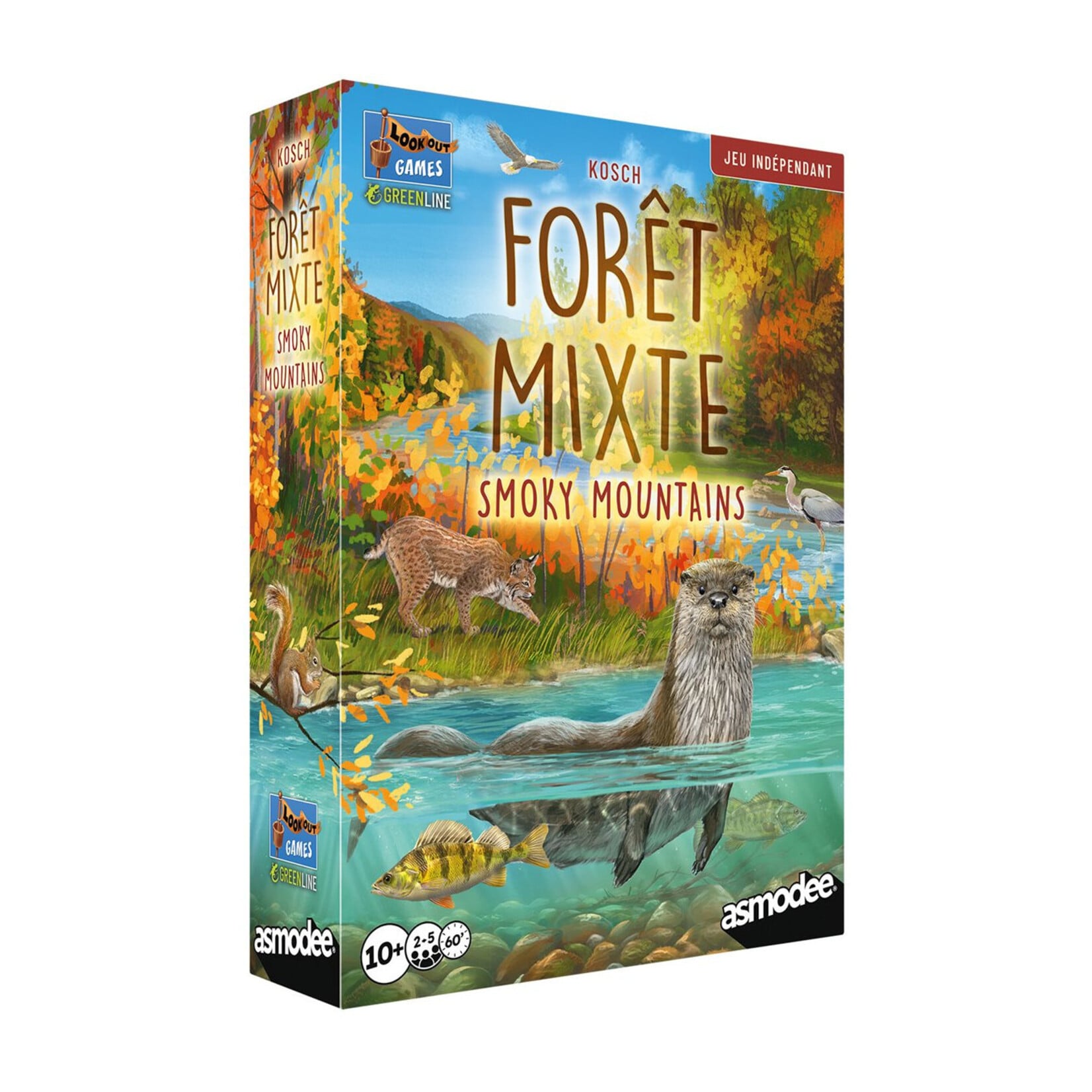 Foret Mixte - Smoky Mountains FR