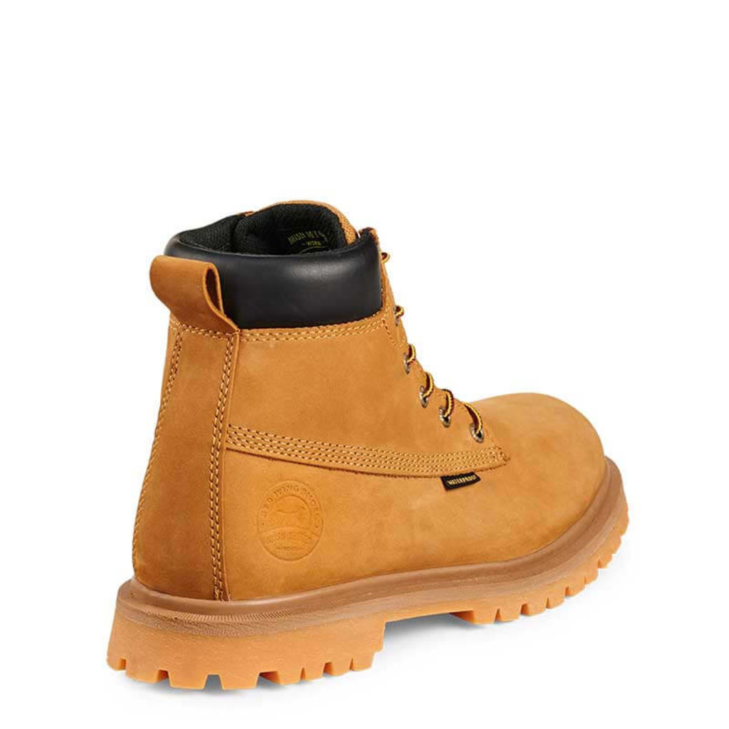 Irish setter hopkins deals