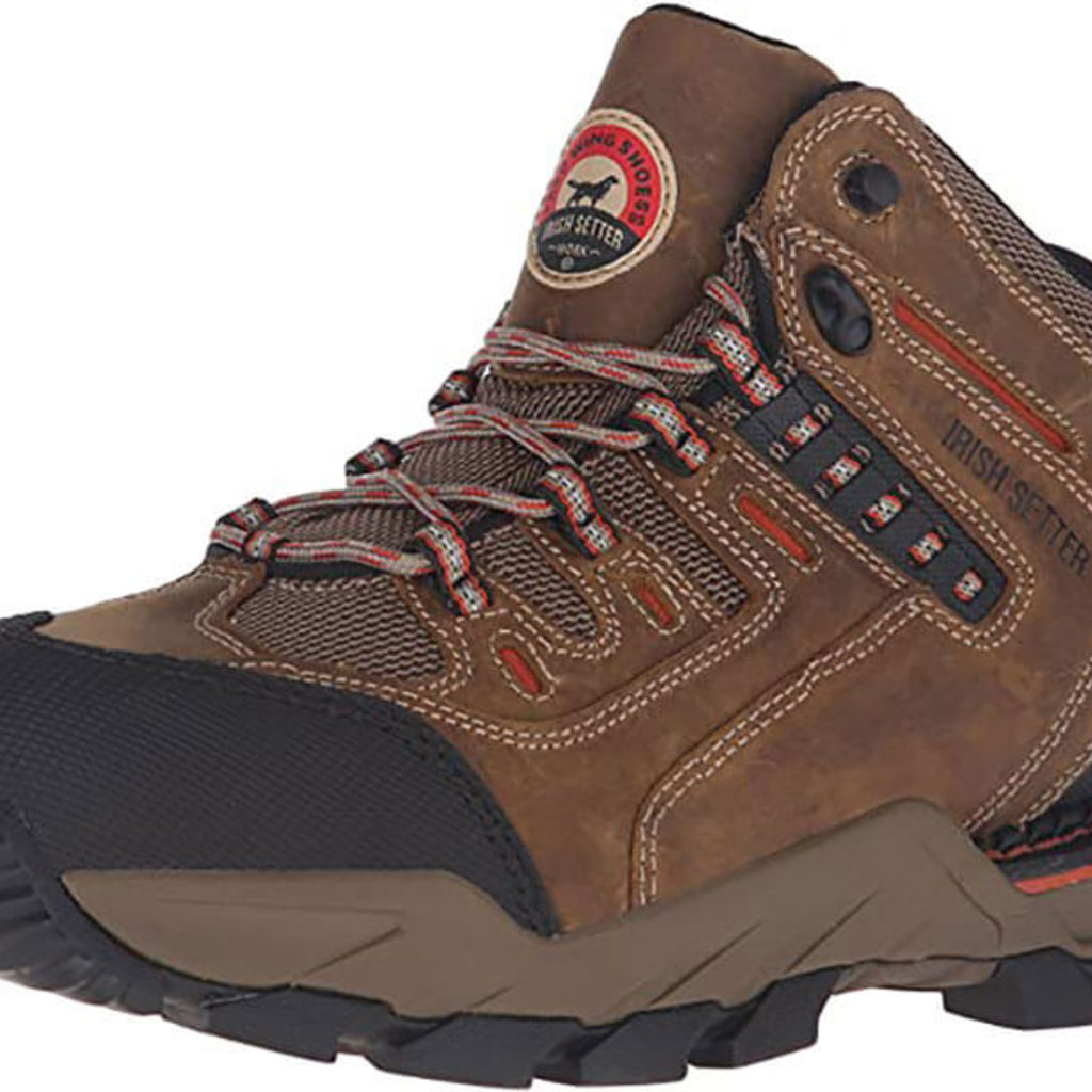 irish setter 83800