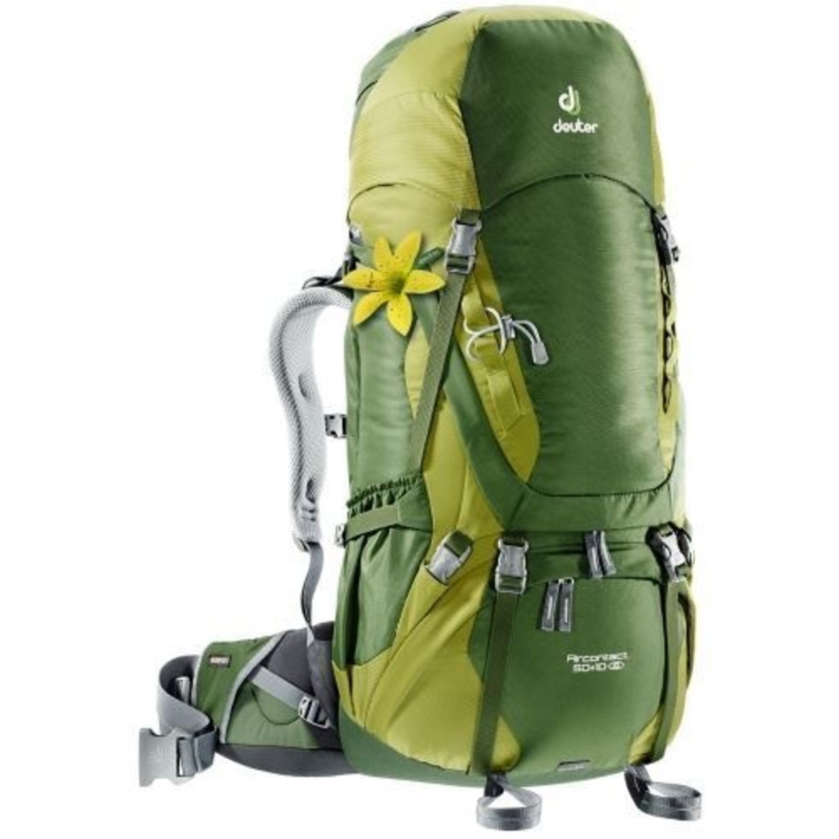 Deuter Deuter Aircontact 50+10 SL Trekking Backpack - Pine-Moss