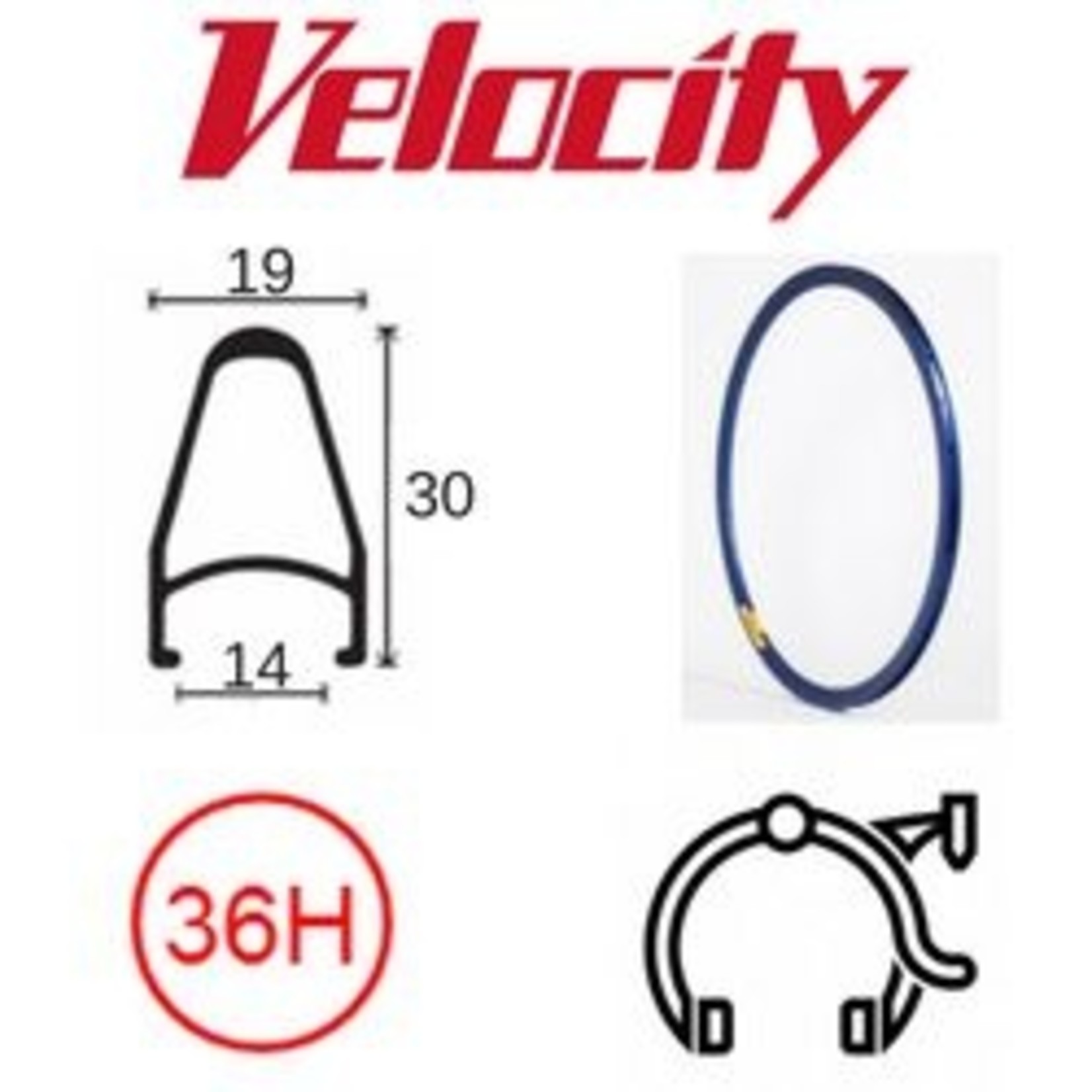 velocity Velocity Rim - Deep V Rim 700C 36H ANO Presta Valve-Rim Brake - Frost Blue MSW