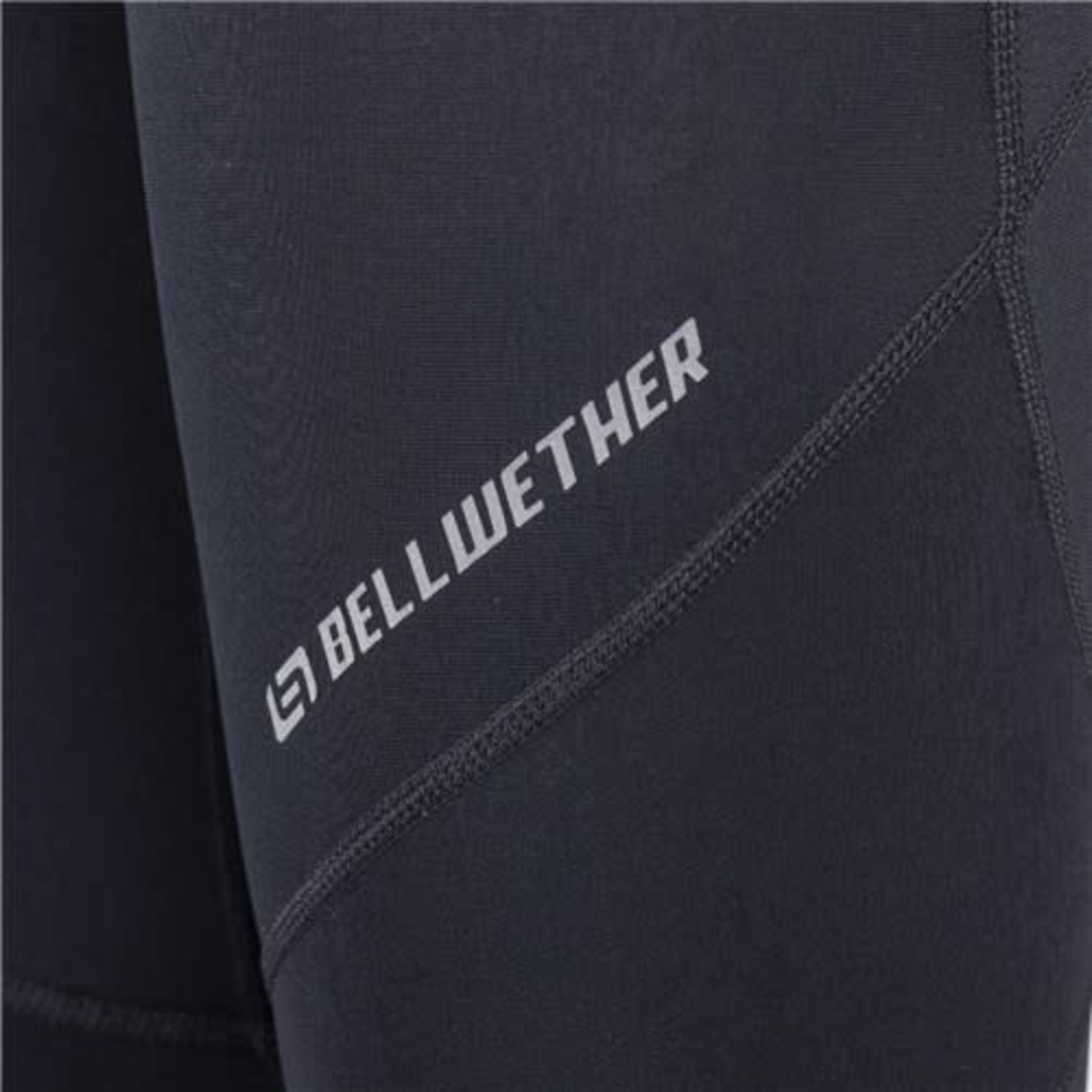 Bellwether Bellwether Women's Cycling Fitted Thermaldress Tights With Chamois - Contour Pro
