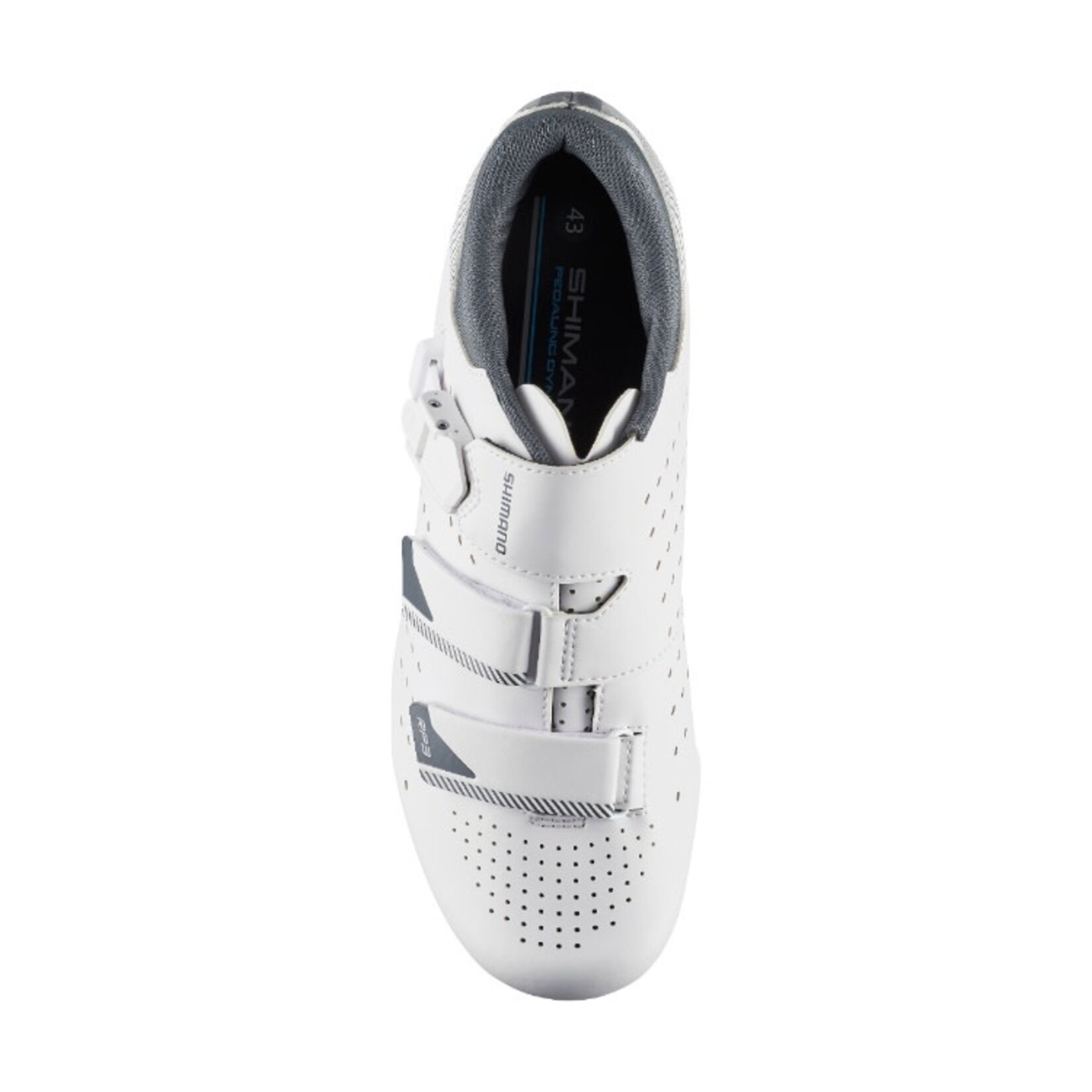 Shimano Shimano Bike/Cycling Shoe SH-RP301 - Black - Size 51 Synthetic Leather
