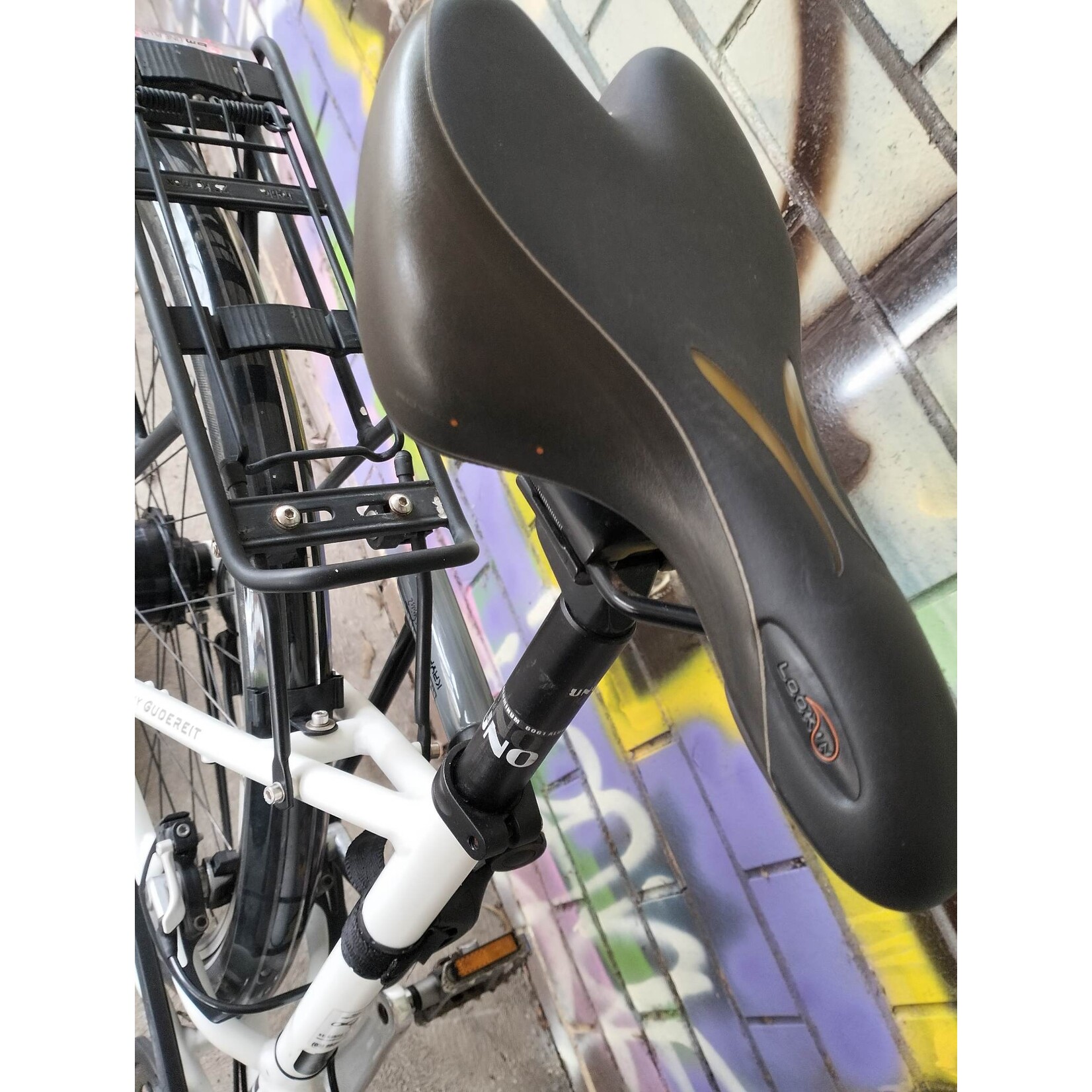 Gudereit SXR 4.0 Trekking Bike Medium 53 cm Step Thru Belt Drive + Hub Dynamo