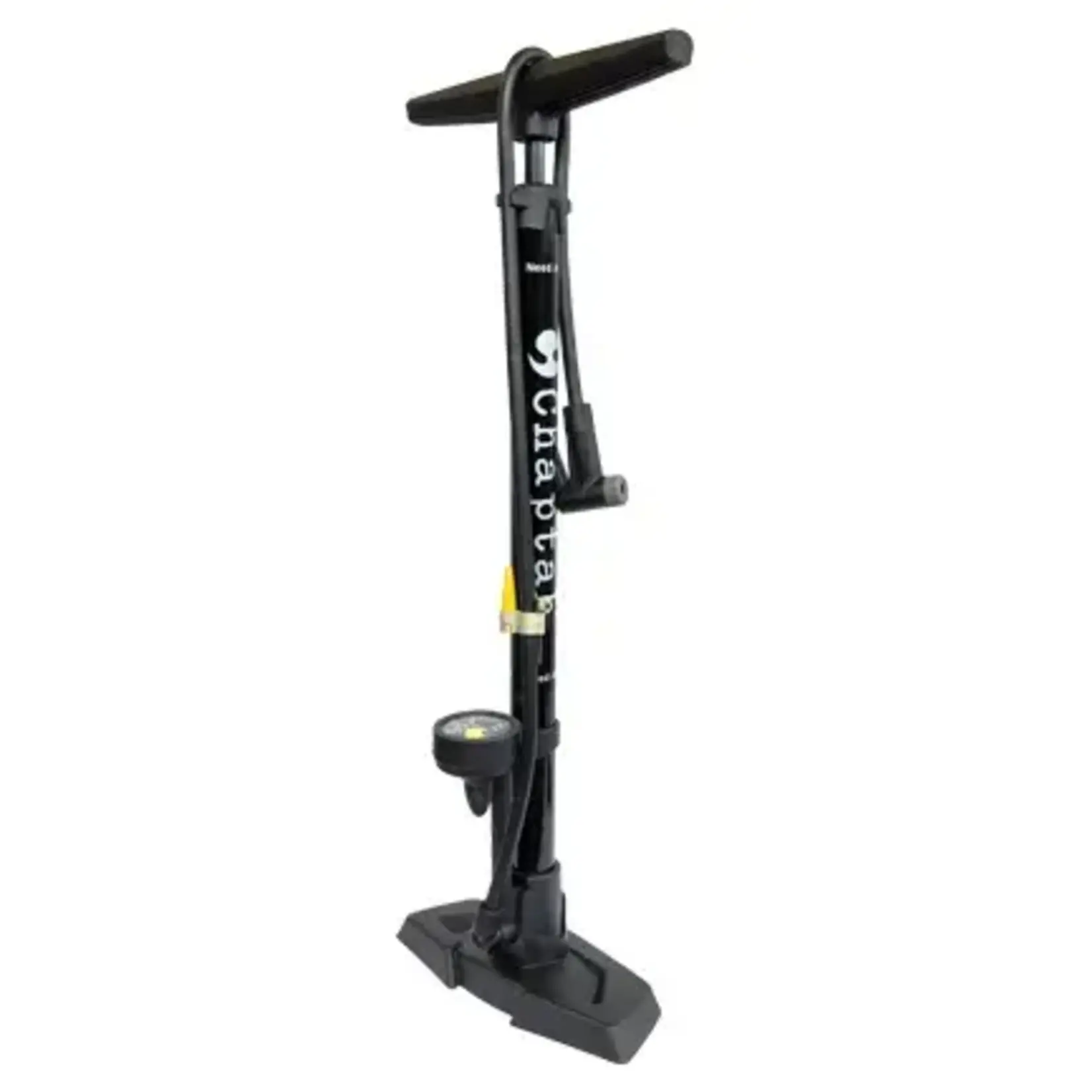 Chaptah Pump Chaptah Need AIR FP1
