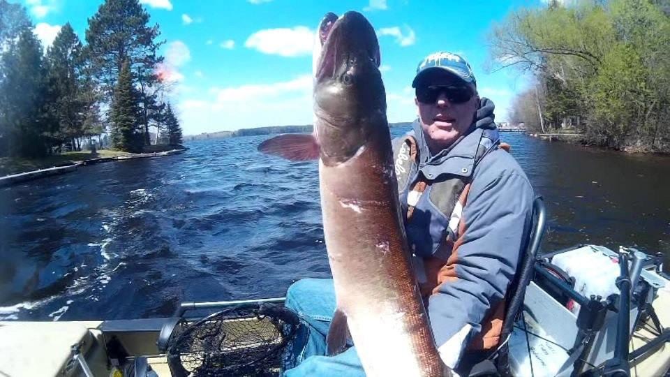 46" Musky From Pro Angler 12