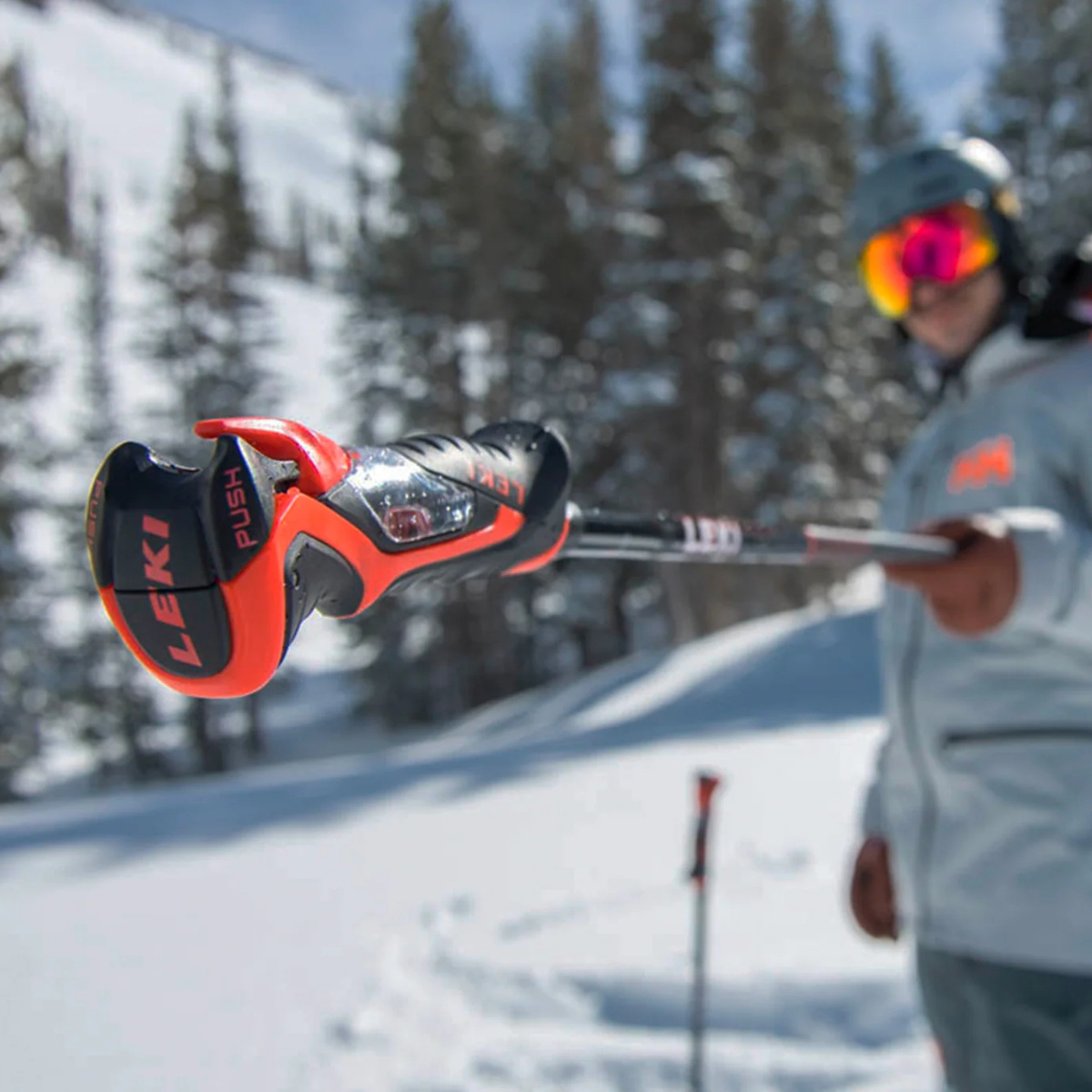 Ski Poles