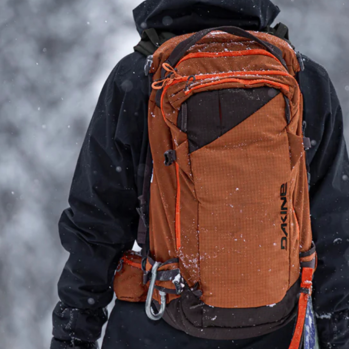 Ski Luggage