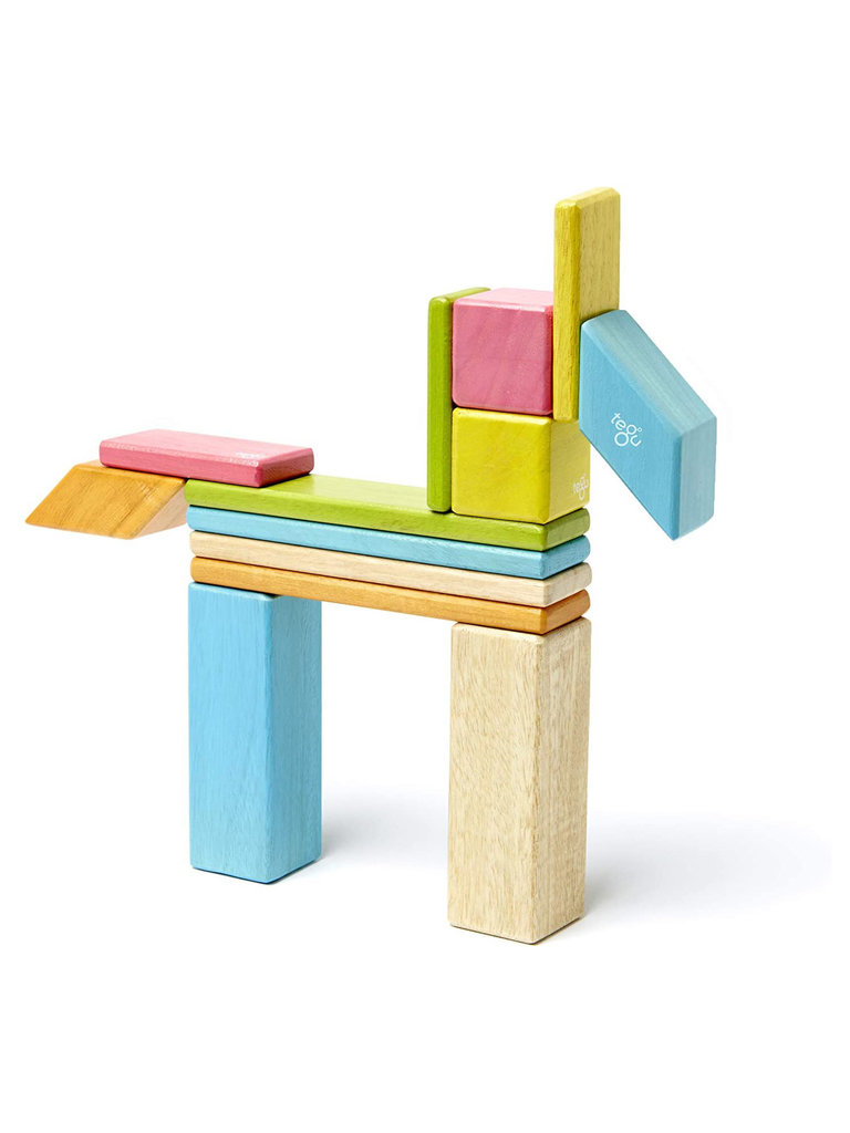 tegu Magnetic Wooden Blocks - 14 Piece Set - Tints