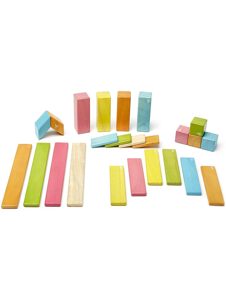 tegu Magnetic Wooden Blocks - 24 Piece Set - Tints
