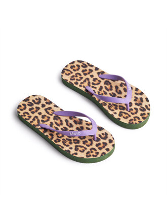 Molo Zeppo - Allover Leo Molo Zeppo - Allover Leo