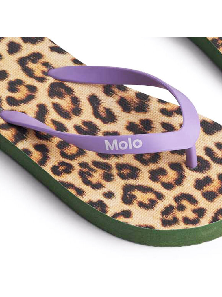 Molo Zeppo - Allover Leo