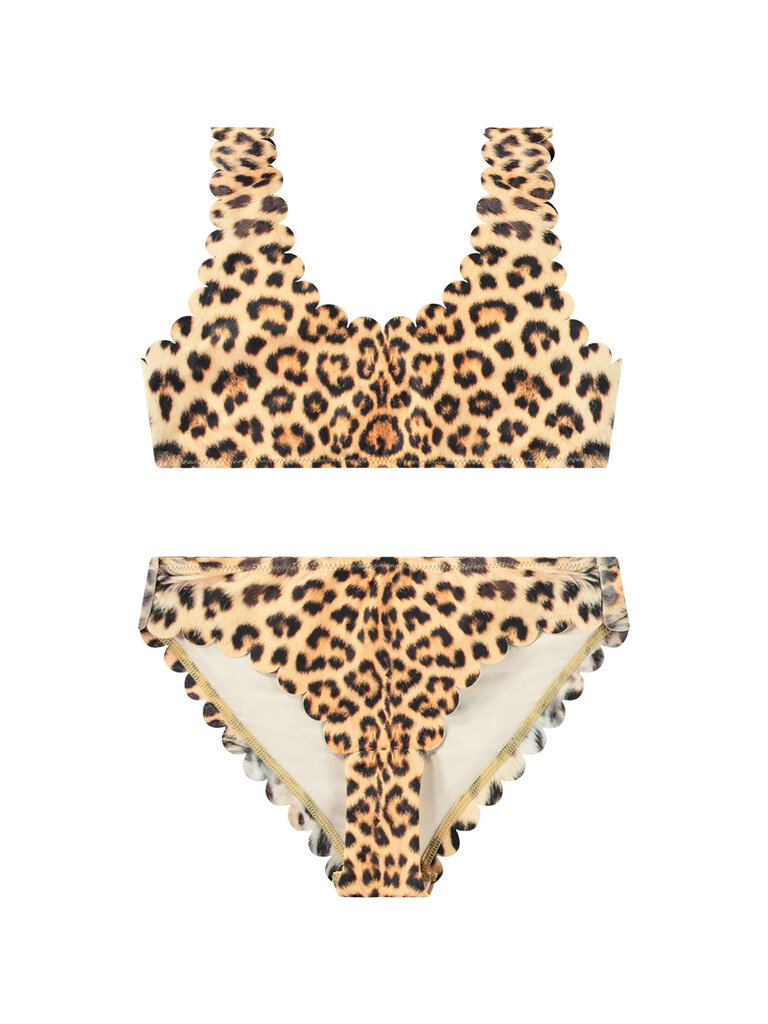 Molo Nolina - Leo Swim