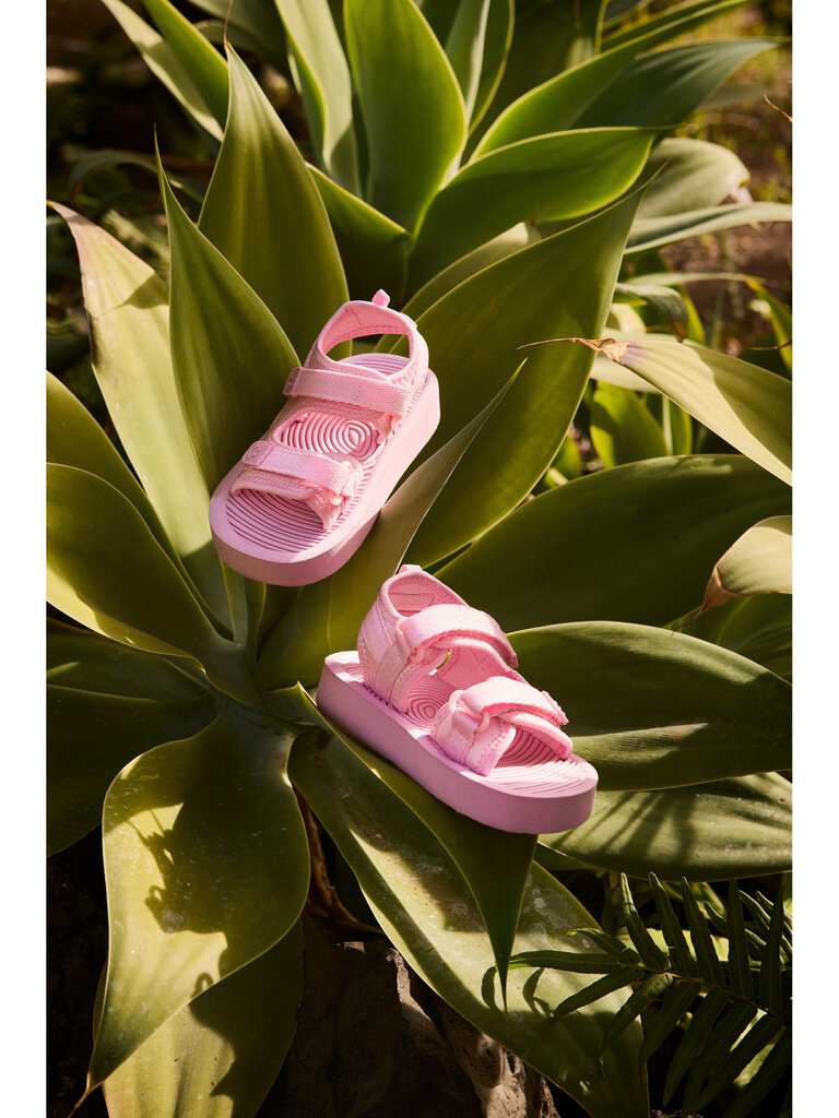 Molo Zola - Pink Glace