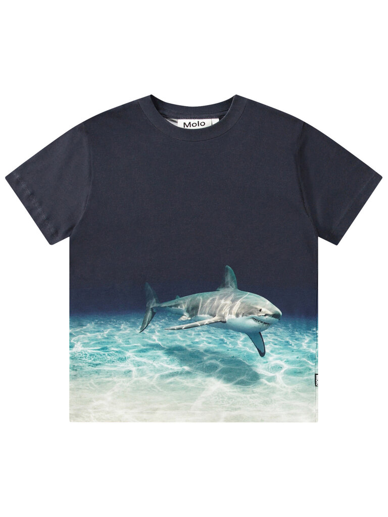 Molo Roxo - Faded Shark