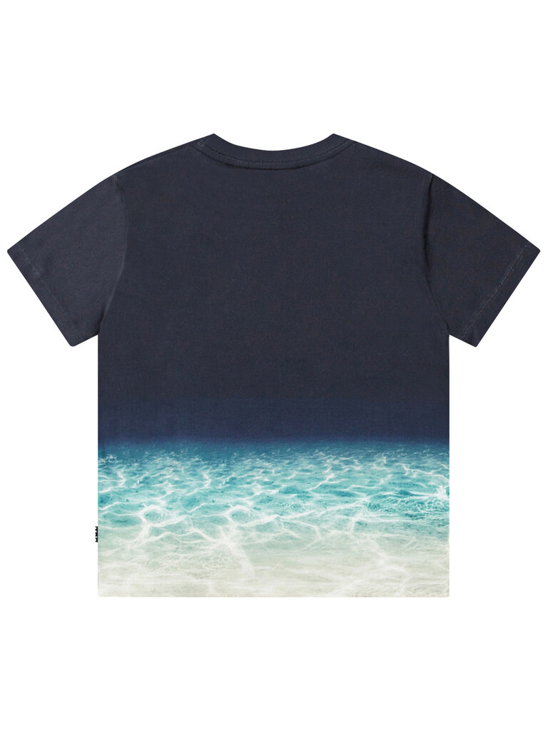 Molo Roxo - Faded Shark