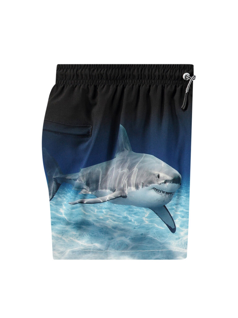 Molo Niko - Faded Shark
