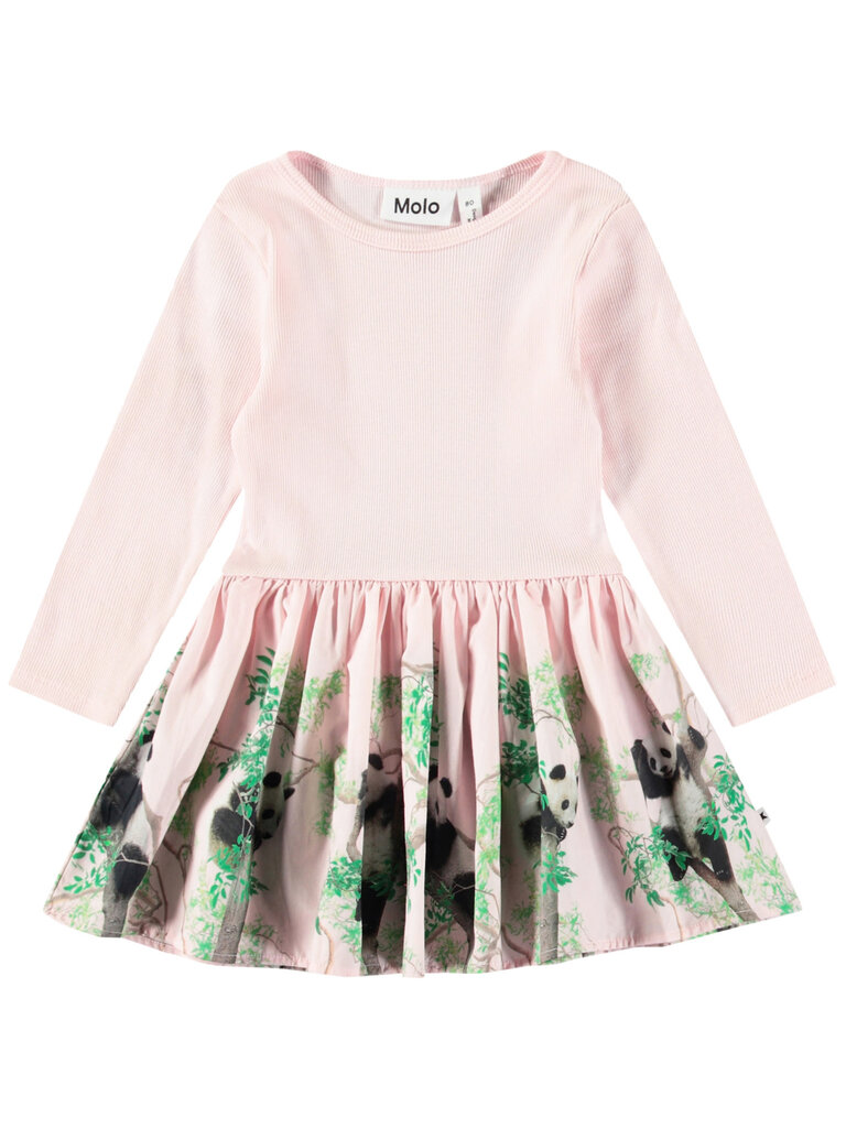 Molo Candi - Cuteness