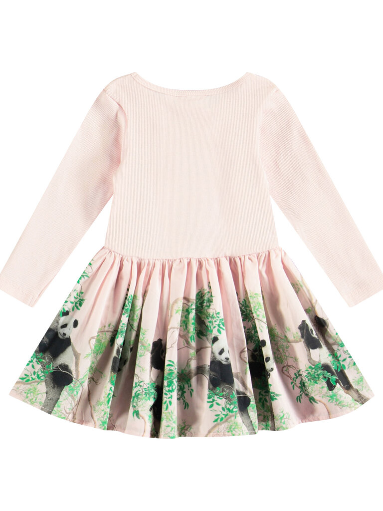 Molo Candi - Cuteness