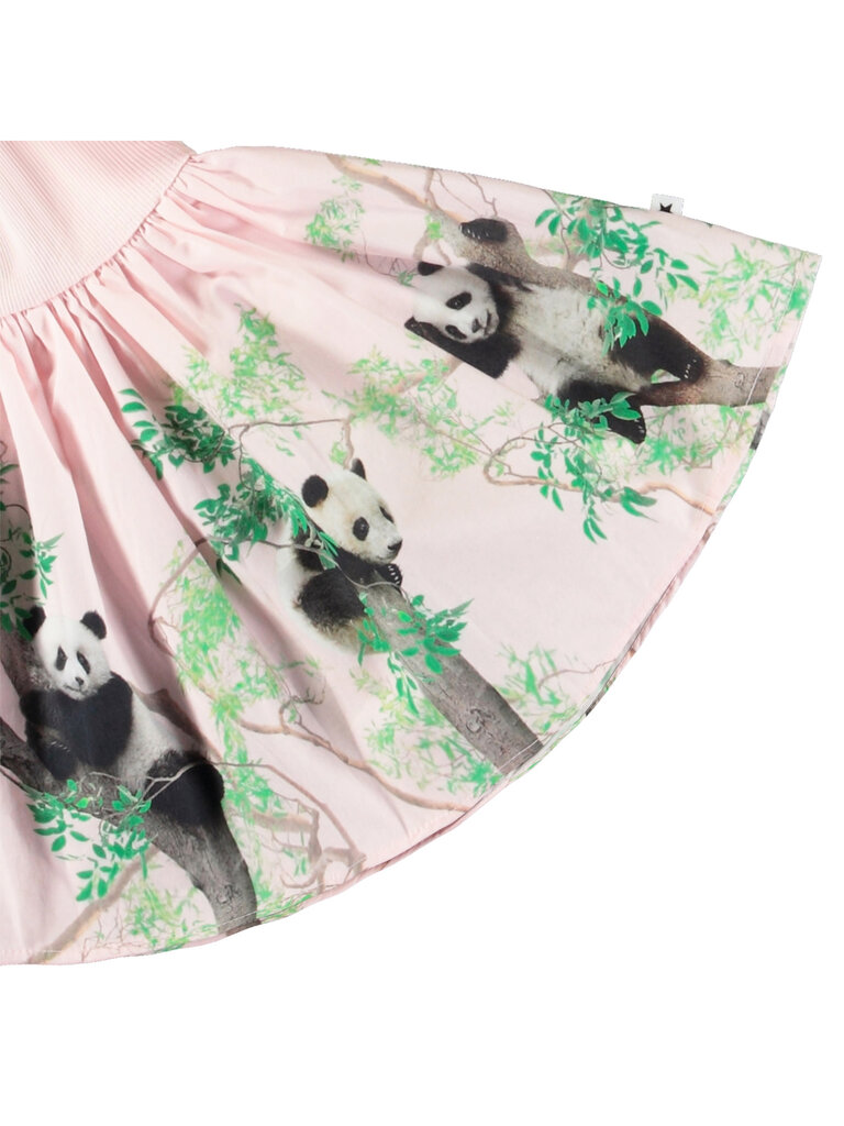 Molo Candi - Cuteness