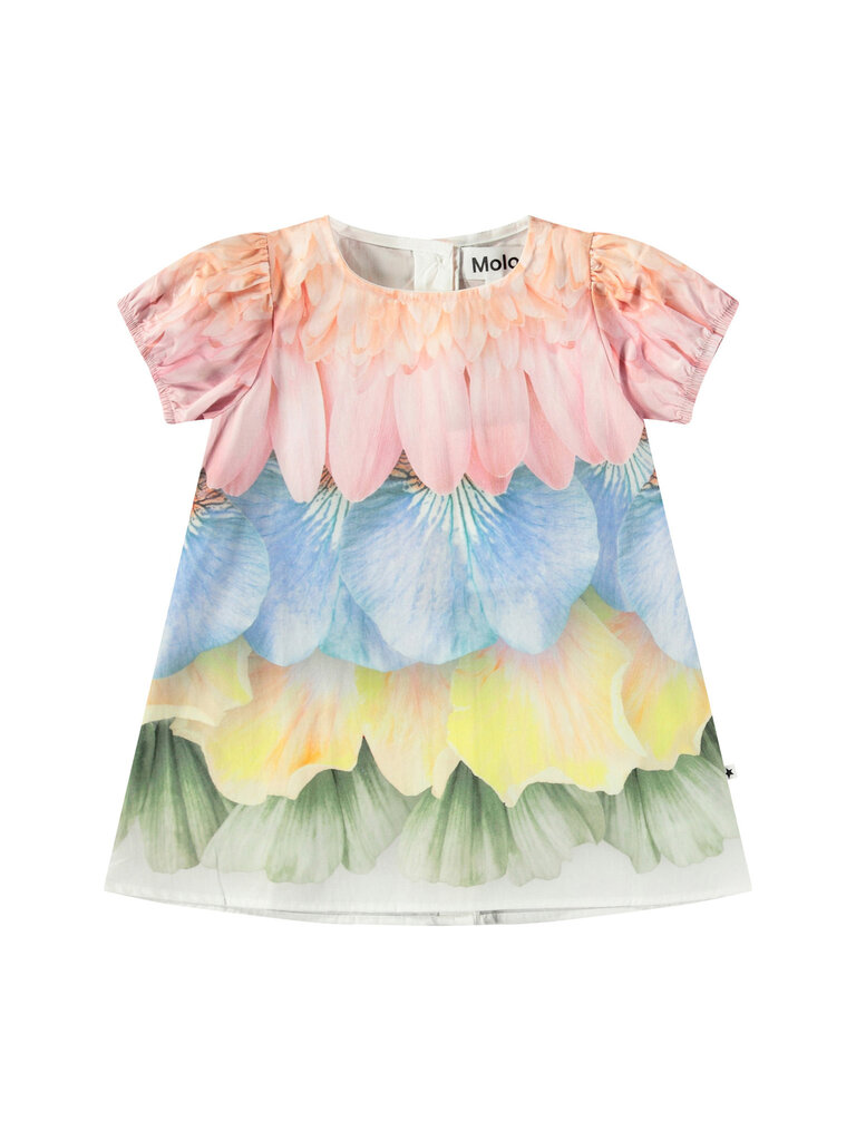 Molo Caja - Petal Rainbow