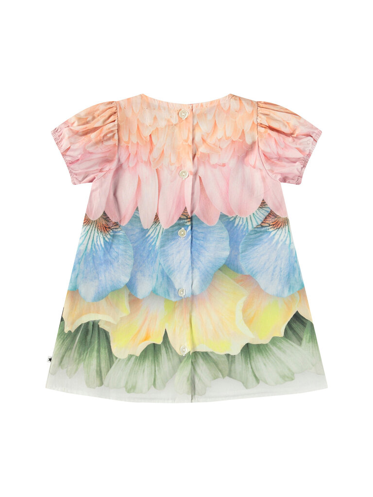Molo Caja - Petal Rainbow
