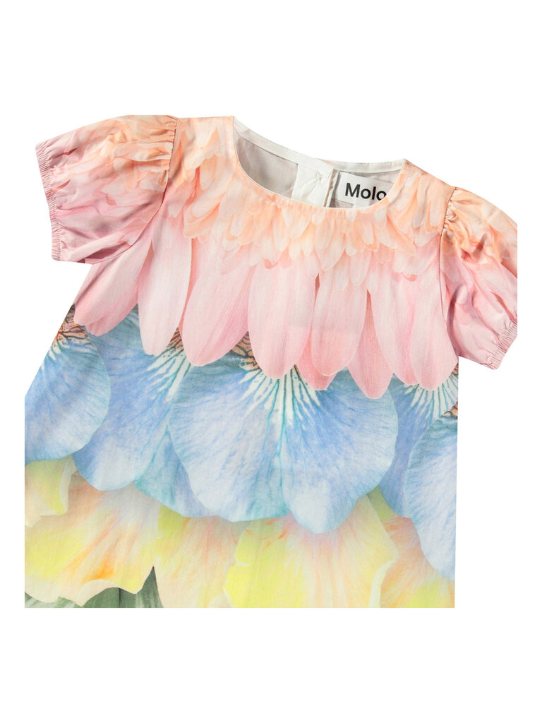 Molo Caja - Petal Rainbow