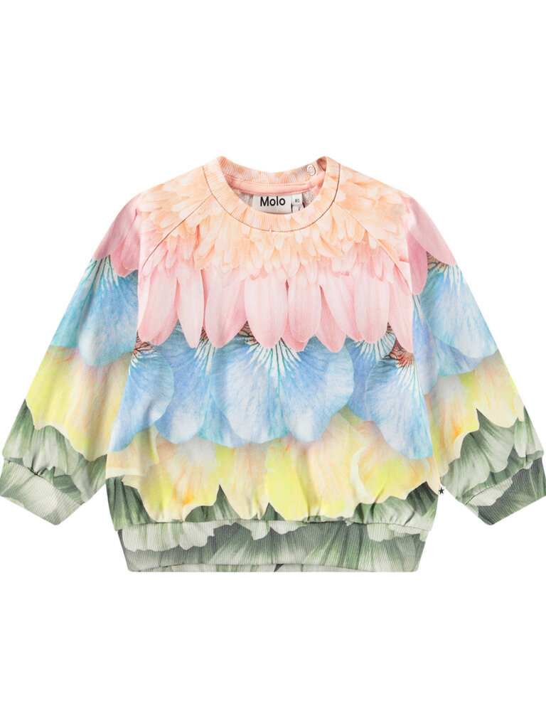 Molo Disc - Petal Rainbow