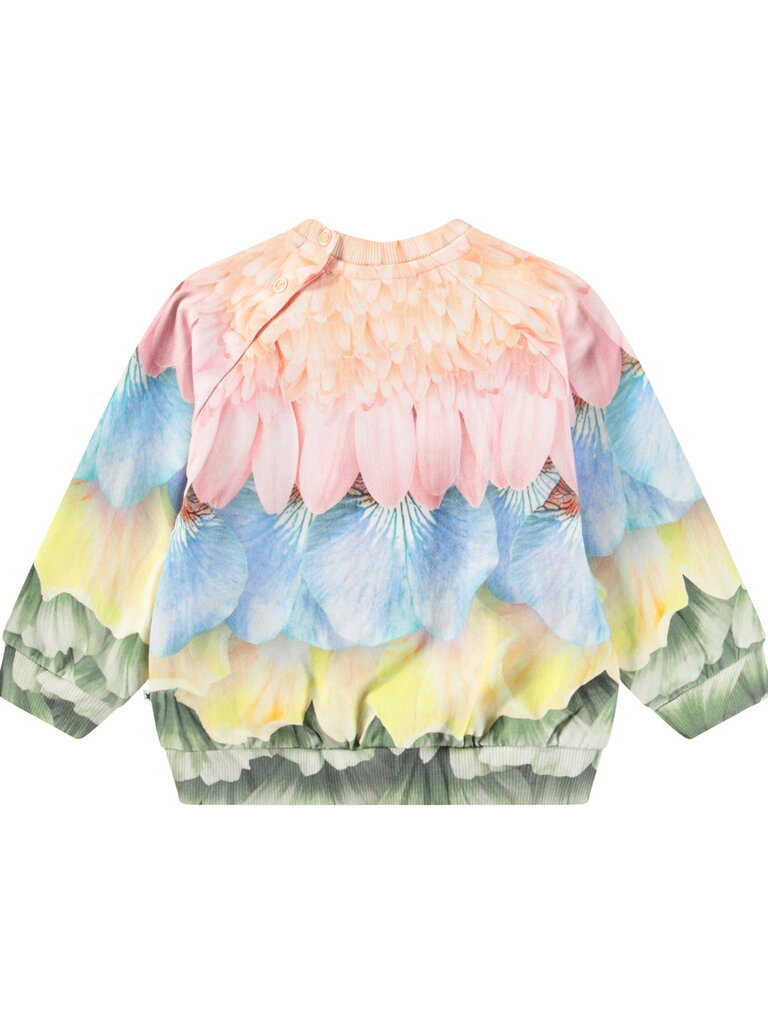 Molo Disc - Petal Rainbow