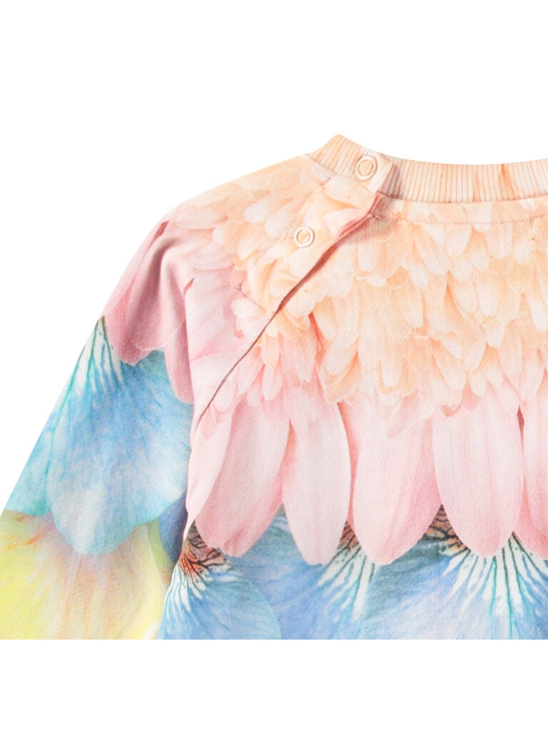 Molo Disc - Petal Rainbow