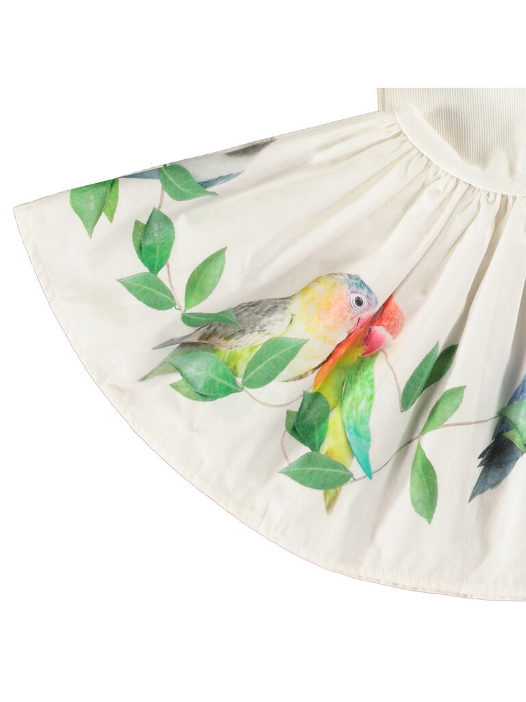 Molo Carin - Birdies