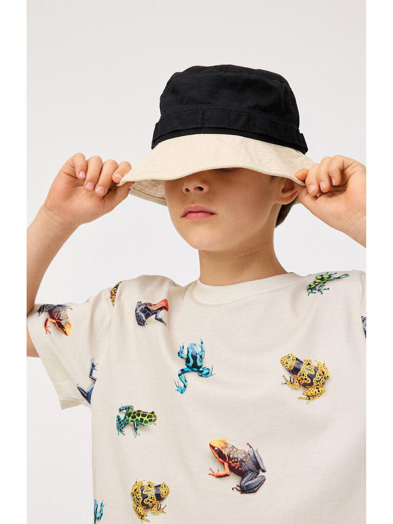 Molo Roxo - Vibrant Frogs