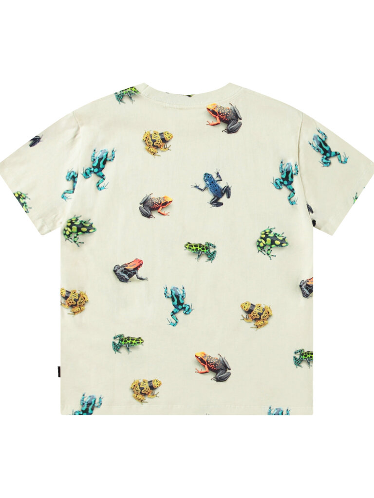 Molo Roxo - Vibrant Frogs