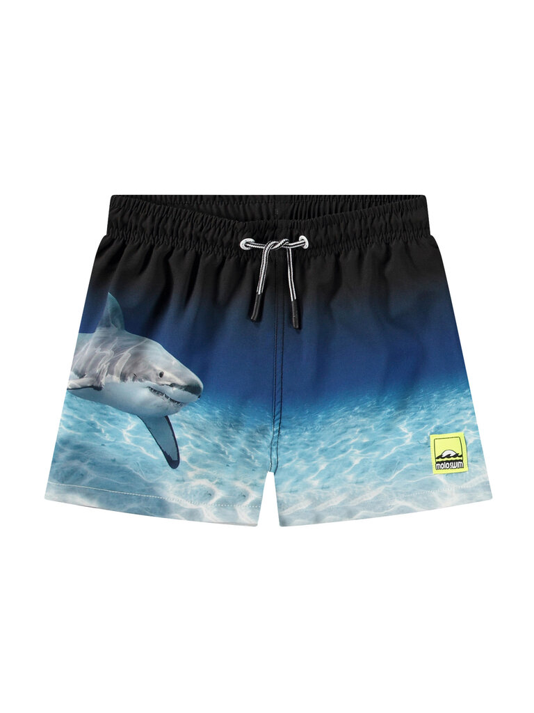 Molo Niko - Faded Shark
