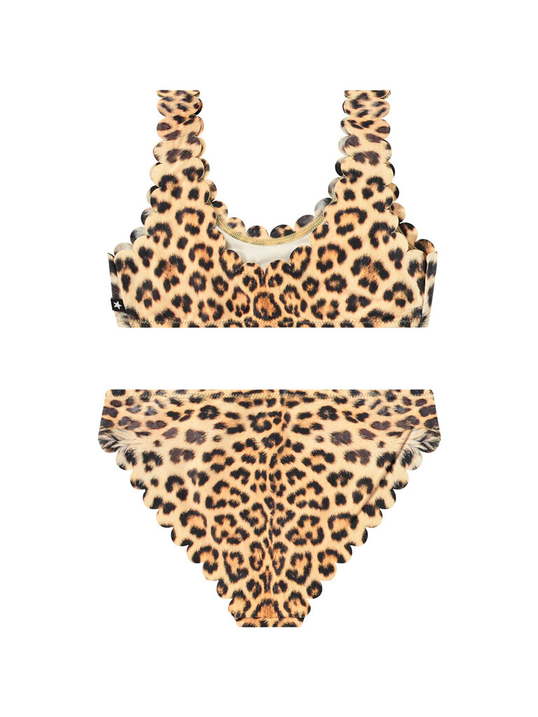 Molo Nolina - Leo Swim